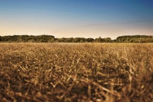 Incalzirea globala, un pericol iminent pentru productia agricola Evenimente