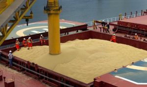 Eurostat: Romania ramane liderul european al exportatorilor de grau Video