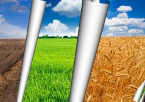 AFIR a publicat plafoanele aplicabile Submasurilor 4.3 A, 7.2 și 7.6 Stiri agricole