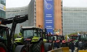 La Strasbourg, micii fermieri protesteaza, solicitand Parlamentului European diminuarea platilor directe pentru fermele mari Recomandari