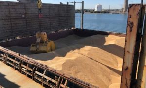 USDA: Tranzactiile cu grau, in scadere Stiri agricole
