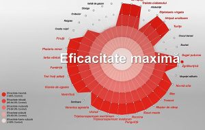 Erbicidarea din toamna a culturilor de cereale paioase - Castigati batalia cu BATTLE DELTA Tehnologii si utilaje