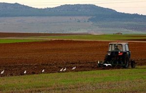 Pe ce data va demara APIA platile FEGA, in valoare de 1,94 miliarde de euro Stiri agricole