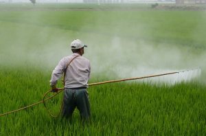 Erbicidele domina piata pesticidelor in Romania! Cifrele INS Agricultura europeană