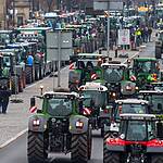 pesticide, fermieri, fermierii europeni, Mercosur