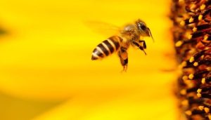Victorie pentru apicultori! Comisia Europeana interzice un pesticid daunator albinelor Stiri agricole