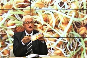 FARMACIA VERDE - Beneficiile nestiute ale porumbului Viata la tara