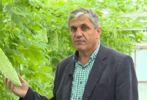 cercetător gospodăria țărănească