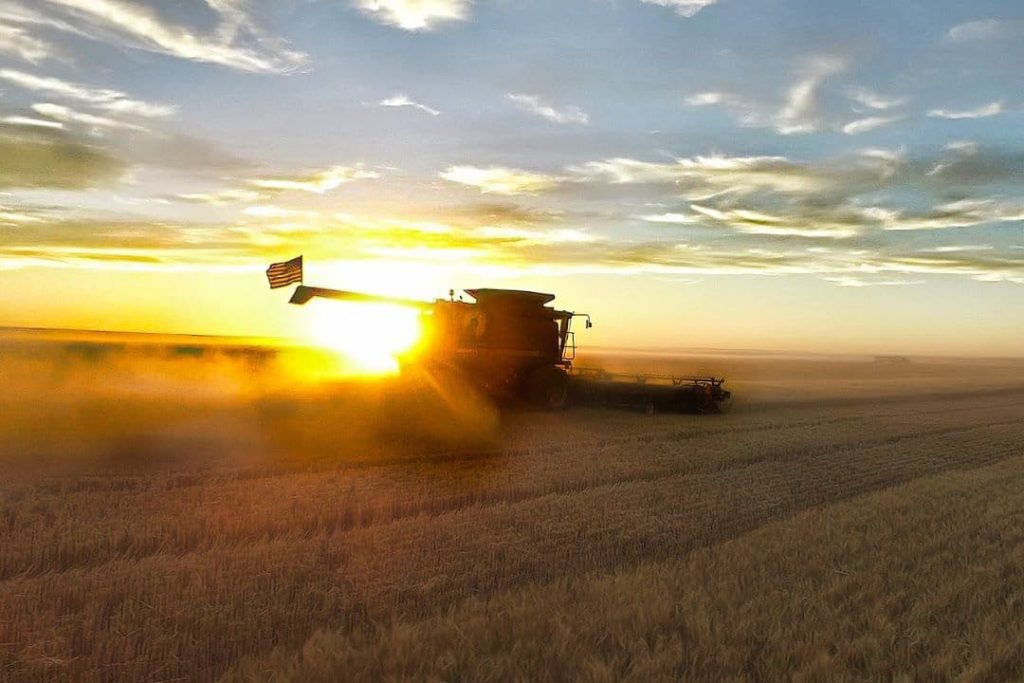 Agricultura la cel mai inalt nivel cu ajutorul utilajelor Case IH 1 Agricultura la cel mai inalt nivel cu ajutorul utilajelor Case IH Agricultura la cel mai inalt nivel cu ajutorul utilajelor Case IH Tehnologii si utilaje