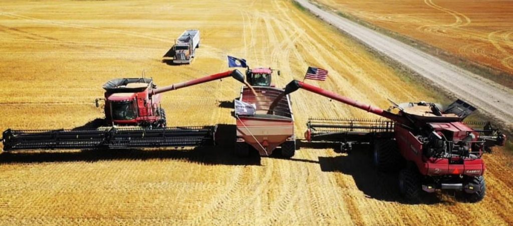 Agricultura la cel mai inalt nivel cu ajutorul utilajelor Case IH 2 Agricultura la cel mai inalt nivel cu ajutorul utilajelor Case IH Agricultura la cel mai inalt nivel cu ajutorul utilajelor Case IH Tehnologii si utilaje