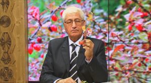 FARMACIA VERDE - Maracinele care te scapa de crampe Legislatie