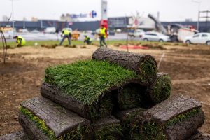 Solutie rapida pentru un gazon elegant si sanatos, adecvat oricarui spatiu Recomandari