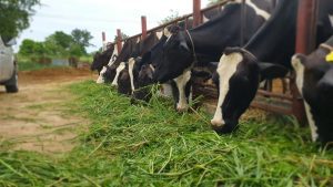 Cand incepe recensamantul agricol? OUG a fost publicata in Monitorul Oficial Stiri agricole