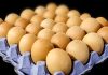 ouă, gripa aviară