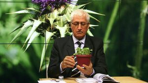 FARMACIA VERDE - Armurariul, remediu natural pentru afectiunile ficatului (video) Stiri agricole
