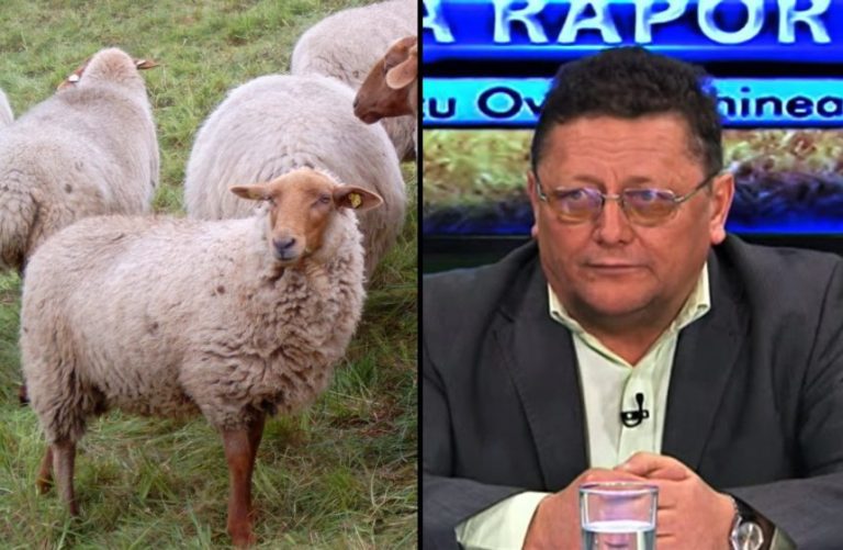 bela vaida oieri