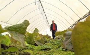 Un coreean a dat lovitura cultivand legume asiatice in Romania Recomandari
