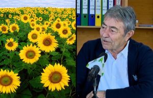 Cu sau fara neonicotinoide? ”Va fi necesar sa poluam atmosfera” Recomandari