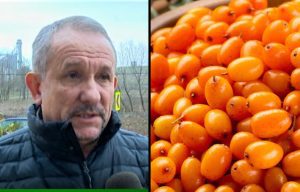 A mizat pe catina, iar afacerea ii merge struna! O initiativa bio (video) Meteo