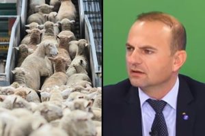 EXCLUSIV Programul Lana NU va continua in 2020! Banii vor ajunge la oieri sub o alta forma Stiri agricole