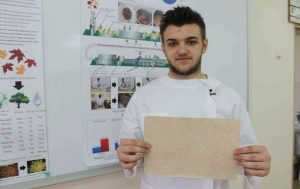 Inovatie pentru mediu! Romania va avea hartie facuta din frunze uscate Afaceri
