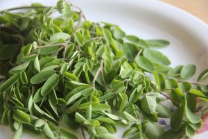 ”Copacul lui Dumnezeu” creste la Buzau! Proprietatile miraculoase ale plantei Afaceri