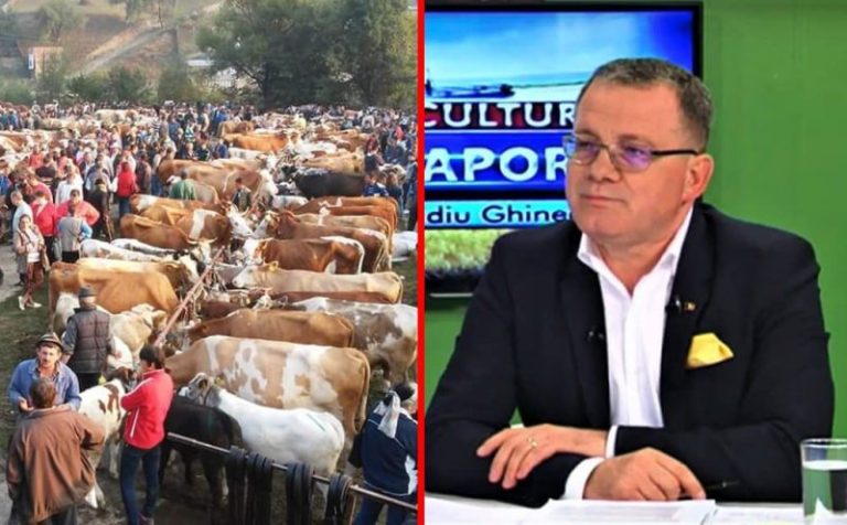 targuri de animale