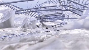 Solarii distruse si pierderi de zeci de milioane, dupa o furtuna devastatoare Realitatea Rurala