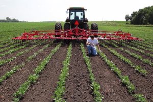 APEL catre fermieri: Agricultura - prioritate nationala! Agricultura