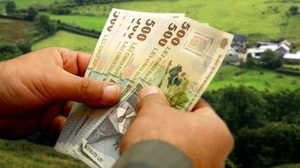 Veste buna pentru fermieri! Vin banii de la APIA. Cine sunt beneficiarii? Stiri agricole