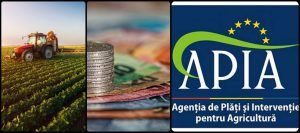APIA: Stadiul depunerii cererilor de finantare Recomandari