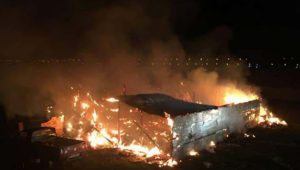 Incendiu la o stana din judetul Vaslui! Zeci de oi au ars de vii Stiri agricole