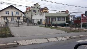 Viata la... oras: Porci salbatici scapati din curte, la plimbare pe strada Alimentatie-retete