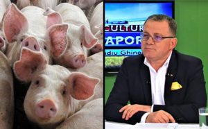 adrian oros pesta porcină
