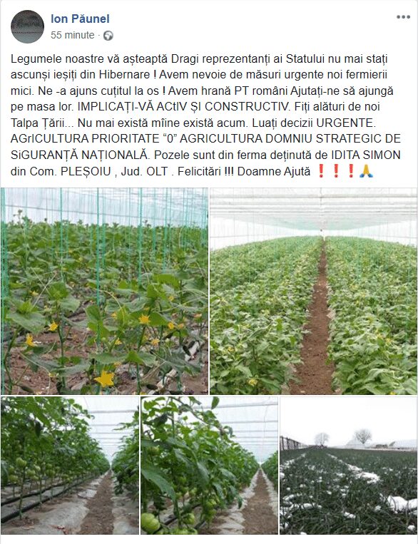REVOLTA! Fermierii nu au unde sa isi vanda productia. Legume, tone de carne, mii de litri de lapte 1 REVOLTA! Fermierii nu au unde sa isi vanda productia. Legume, tone de carne, mii de litri de lapte REVOLTA! Fermierii nu au unde sa isi vanda productia. Legume, tone de carne, mii de litri de lapte Stiri agricole