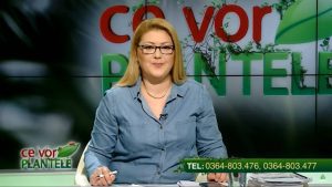Ce vor Plantele: sfaturi pentru perioadele reci de primavara Alimentatie-retete