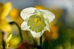 HARTA. Prognoza agrometeorologica, 19-20 martie Stiri agricole