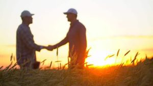 PAC tineri fermieri, Ordonanța amânării ratelor