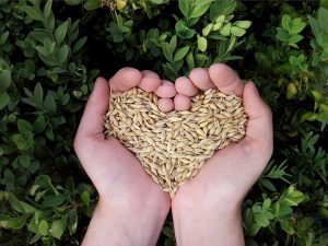 Problema aprovizionarii cu inputuri. Vor fi suficiente resurse? Alimentatie-retete