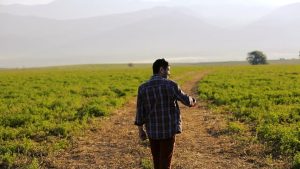 Se intampla in rural: „Am iesit la plimbare, dar nu ma deplasez nicaieri” Viata la tara