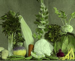 Biostimulatorii din gama Tecamin -  pentru culturi sigure și profitabile Agricultura europeană