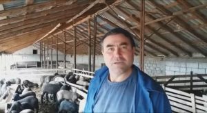 Bilantul vanzarilor de miei. Ce spun ciobanii? Editorial