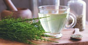 FARMACIA VERDE. Coada calului combate afectiunile rinichilor Stiri agricole