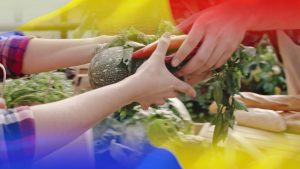 Cu adevărat, agricultura este o șansă. Și acum e momentul Stiri agricole