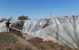 DEZASTRU la Buzau! Solariile fermierilor din Glodeanu Sarat, distruse din nou de vijelie Recomandari