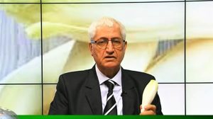 FARMACIA VERDE - Andivele, aliment si medicament Stiri agricole