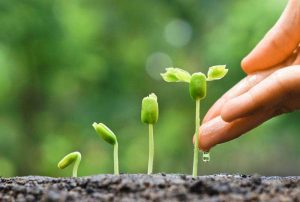 Florian Ciolacu, Clubul Fermierilor Romani: Agricultura romaneasca are nevoie de comunicare Stiri agricole