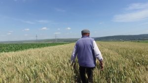 Agricultorii, strigat de ajutor catre AGRO TV: ”Avem nevoie de APA!” Legislatie