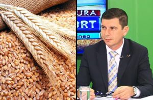 Interzicerea exporturilor, o masura necesara! ”Estimarea productiei de cereale a fost neadevarata” Subventii