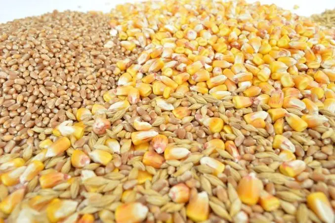 cereale
